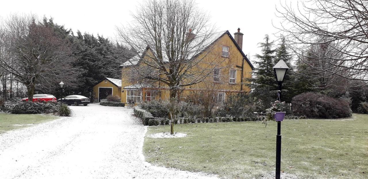 Newlands Lodge Kilkenny Exterior photo